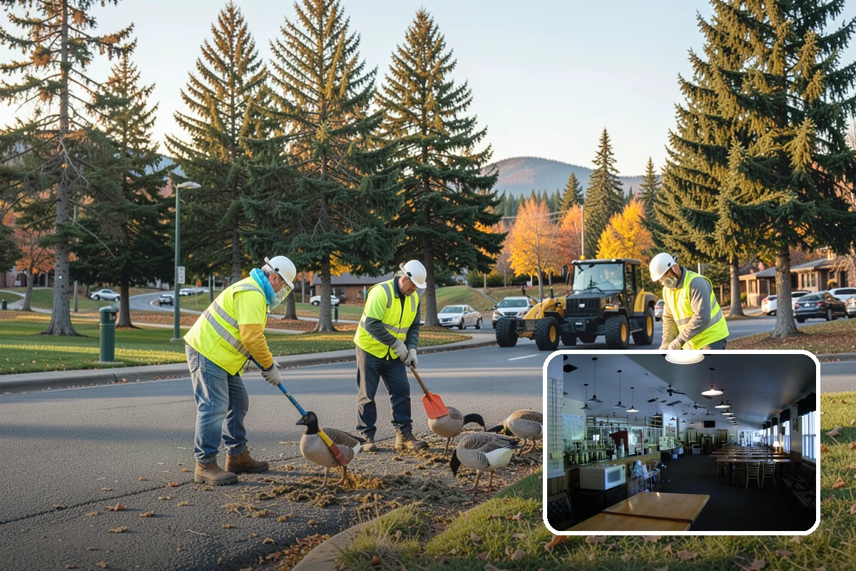 Bleacher Cleaning in Black Diamond, King County, WA - Removes slip hazards from treads, aisles, and walkways