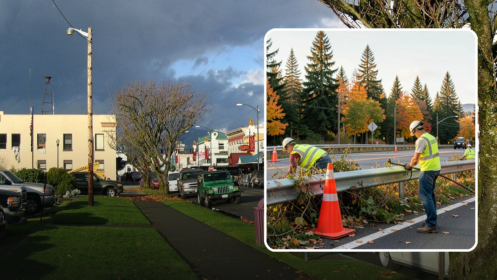Guardrail Vegetation Clearing in Arlington, Snohomish County, WA - Vegetation clearing behind and beneath guardrail that preserves barrier function and enables inspection access.