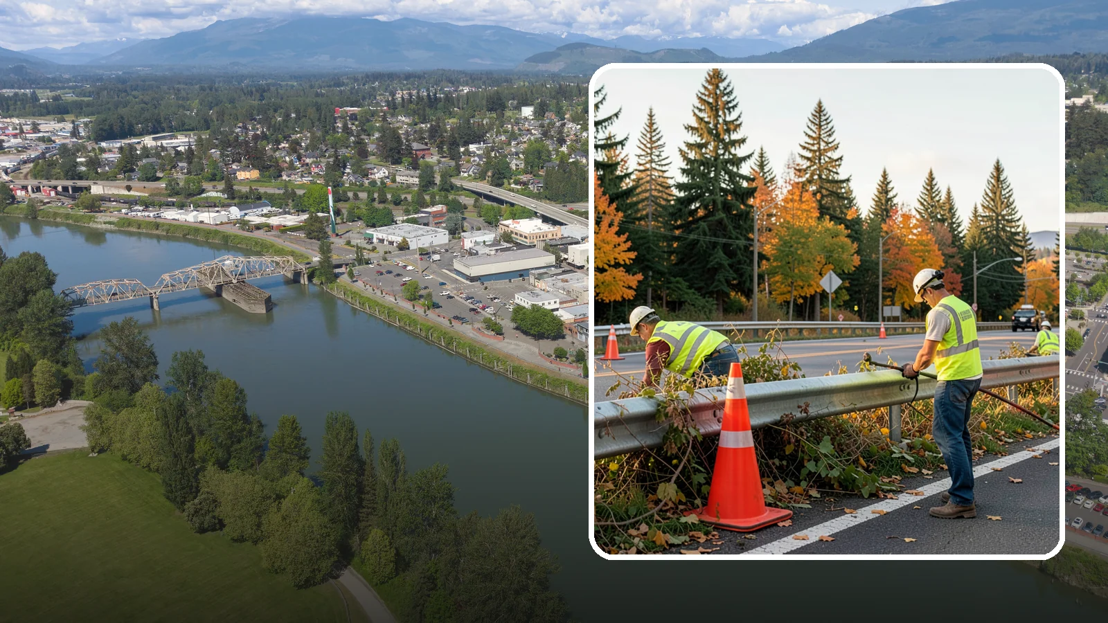 Guardrail Vegetation Clearing in Mount Vernon, Skagit County, WA - Vegetation clearing behind and beneath guardrail that preserves barrier function and enables inspection access.