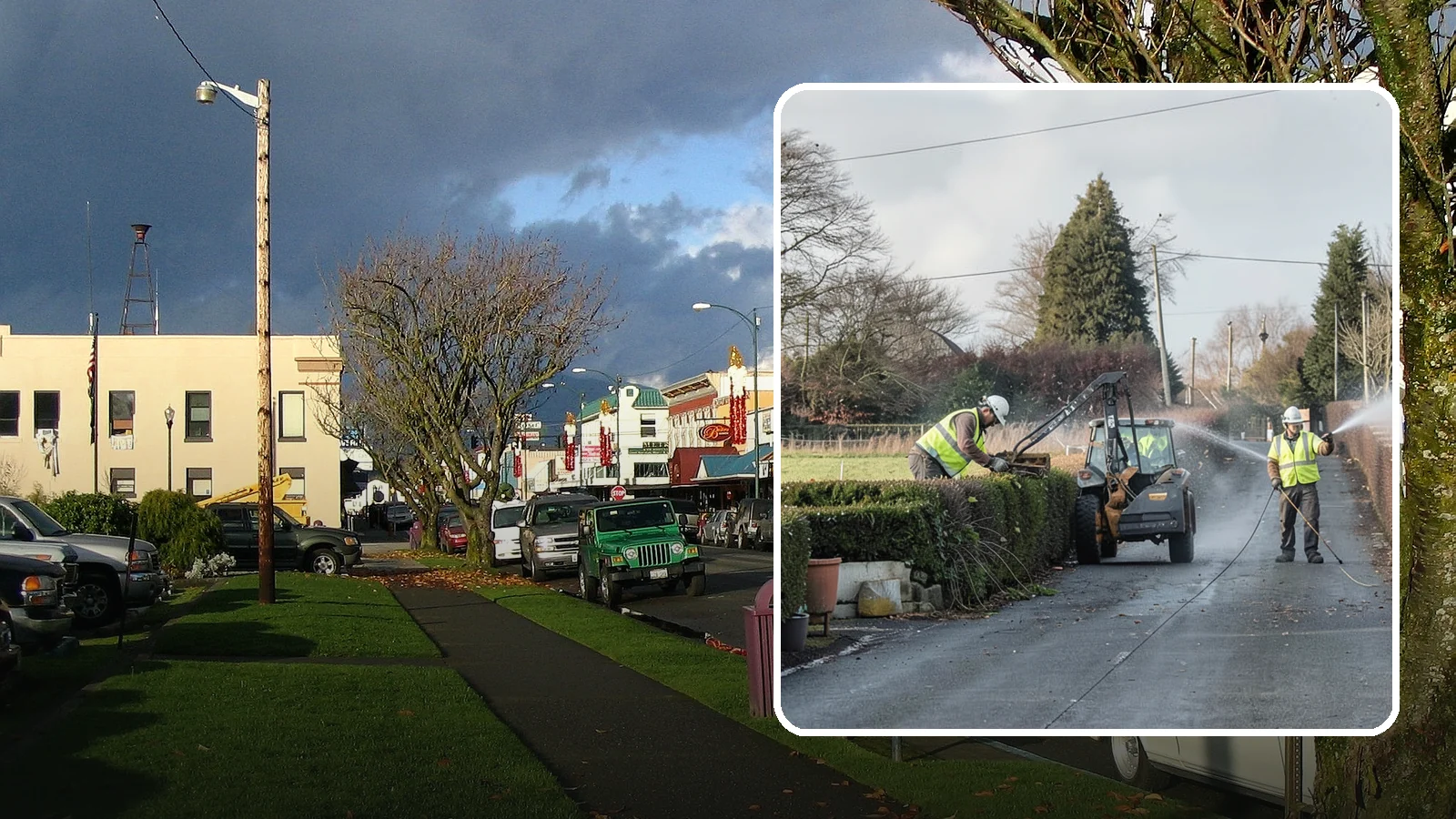 Hedge Trimming in Arlington, Snohomish County, WA - Precise hedge trimming that maintains clean lines, healthy density, and clear sightlines on public property.