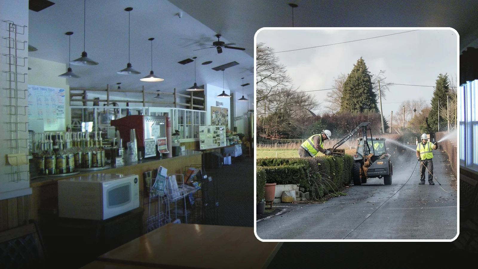 Hedge Trimming in Black Diamond, King County, WA - Precise hedge trimming that maintains clean lines, healthy density, and clear sightlines on public property.