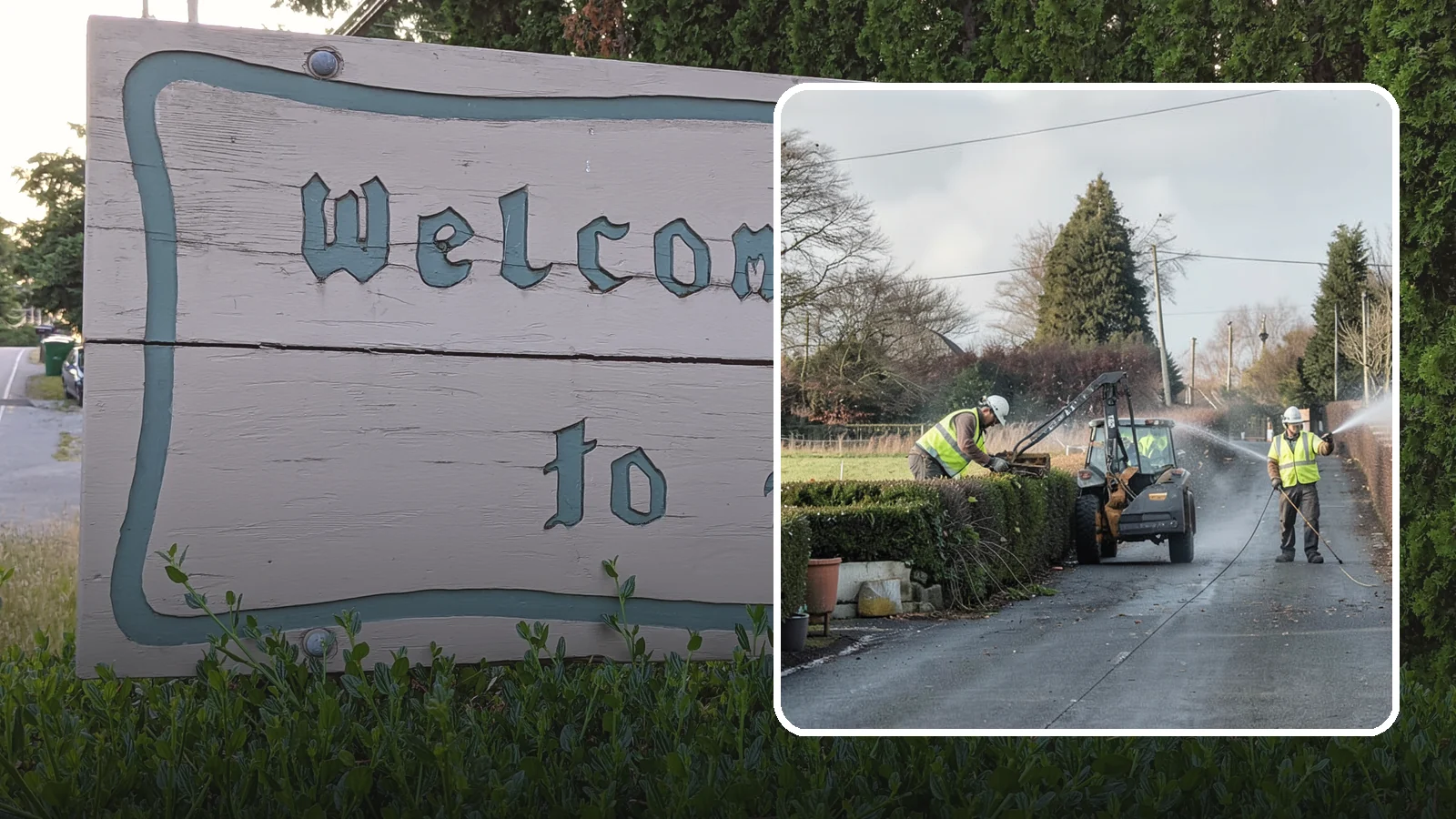 Hedge Trimming in Brier, Snohomish County, WA - Precise hedge trimming that maintains clean lines, healthy density, and clear sightlines on public property.
