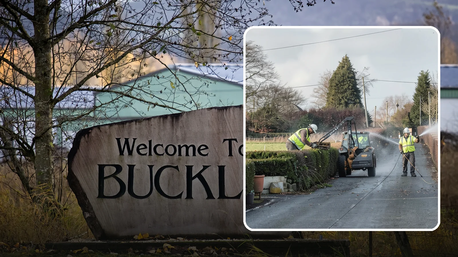 Hedge Trimming in Buckley, Pierce County, WA - Precise hedge trimming that maintains clean lines, healthy density, and clear sightlines on public property.