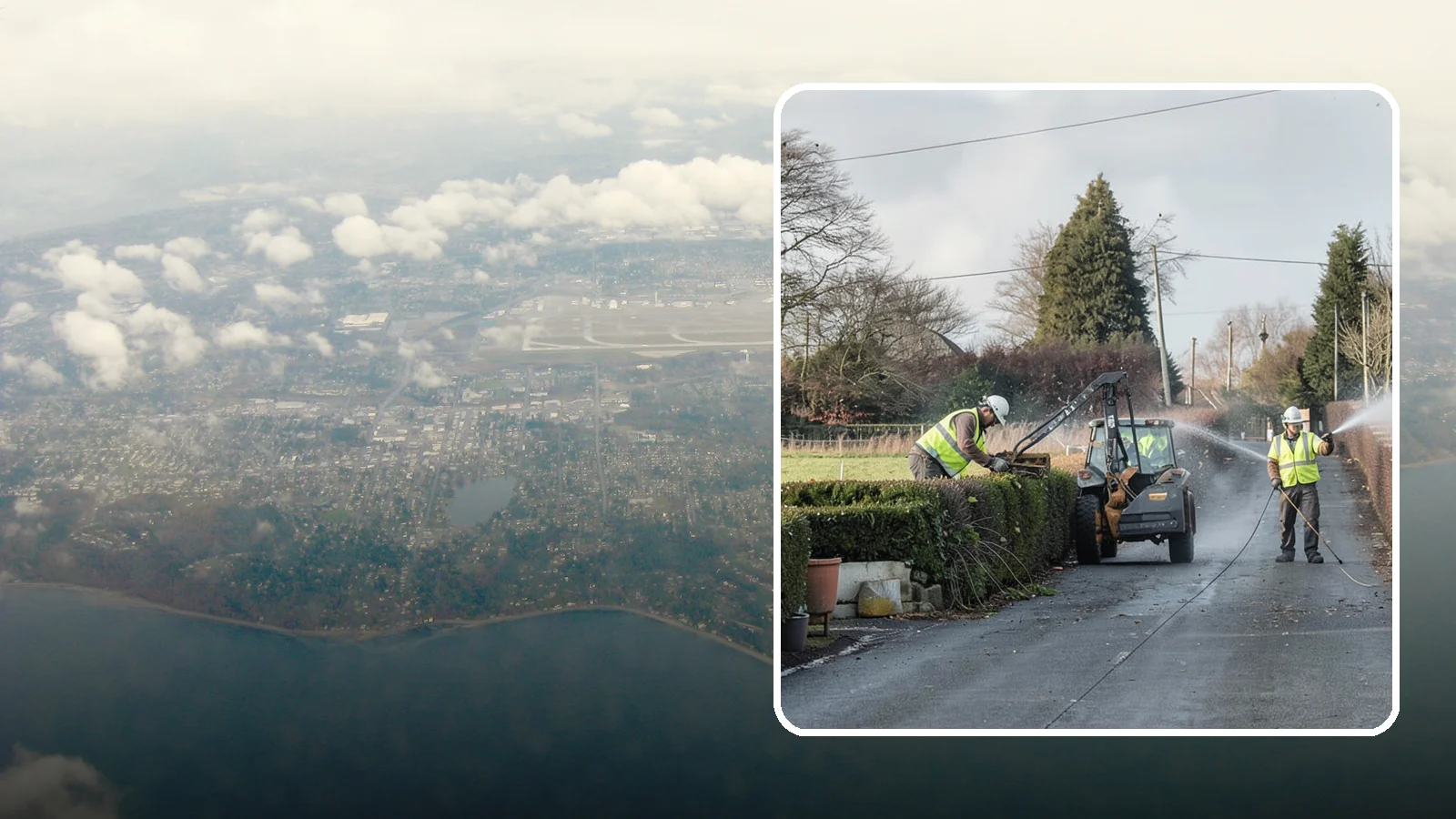 Hedge Trimming in Burien, King County, WA - Precise hedge trimming that maintains clean lines, healthy density, and clear sightlines on public property.