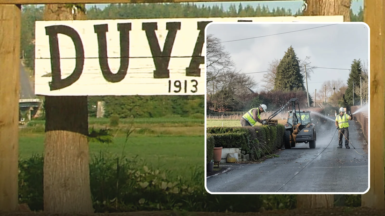 Hedge Trimming in Duvall, King County, WA - Precise hedge trimming that maintains clean lines, healthy density, and clear sightlines on public property.