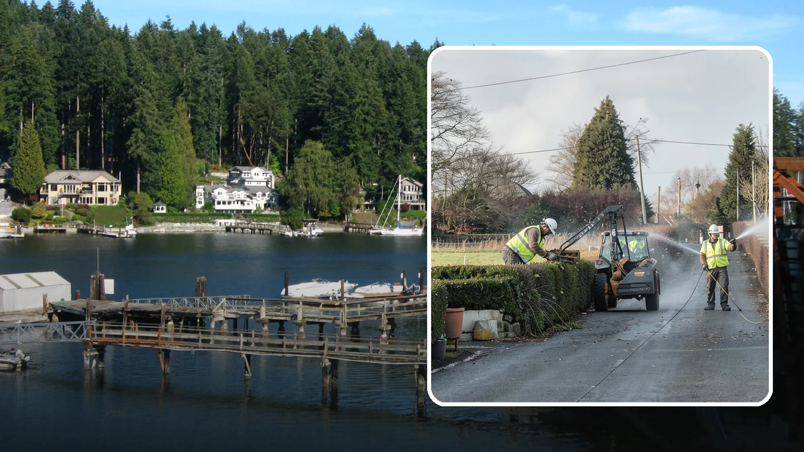 Hedge Trimming in Gig Harbor, Pierce County, WA - Precise hedge trimming that maintains clean lines, healthy density, and clear sightlines on public property.