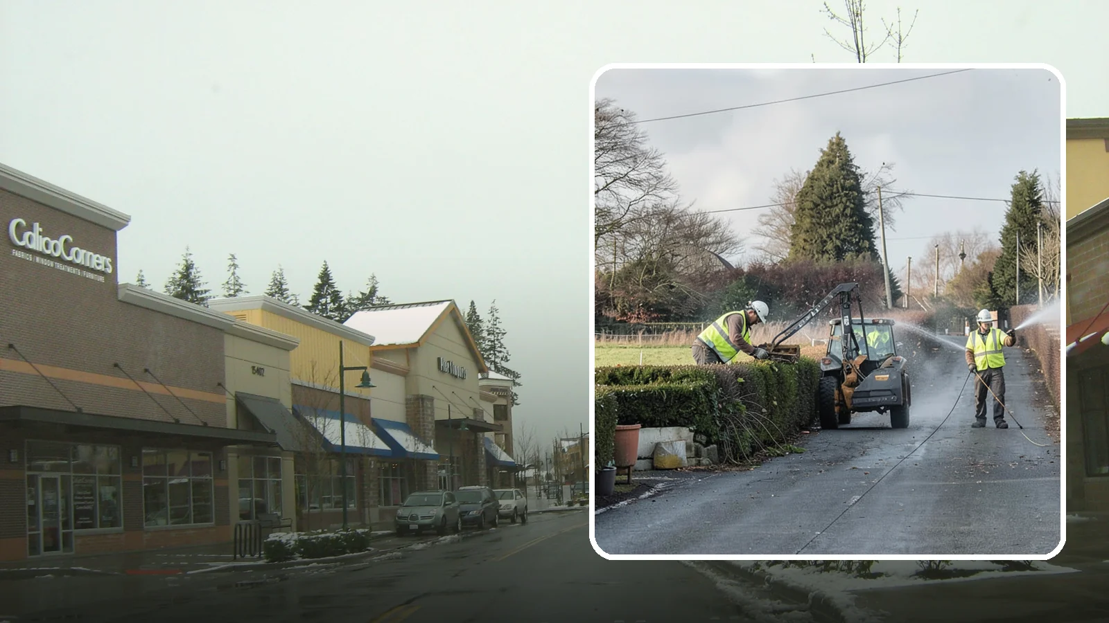 Hedge Trimming in Mill Creek, Snohomish County, WA - Precise hedge trimming that maintains clean lines, healthy density, and clear sightlines on public property.