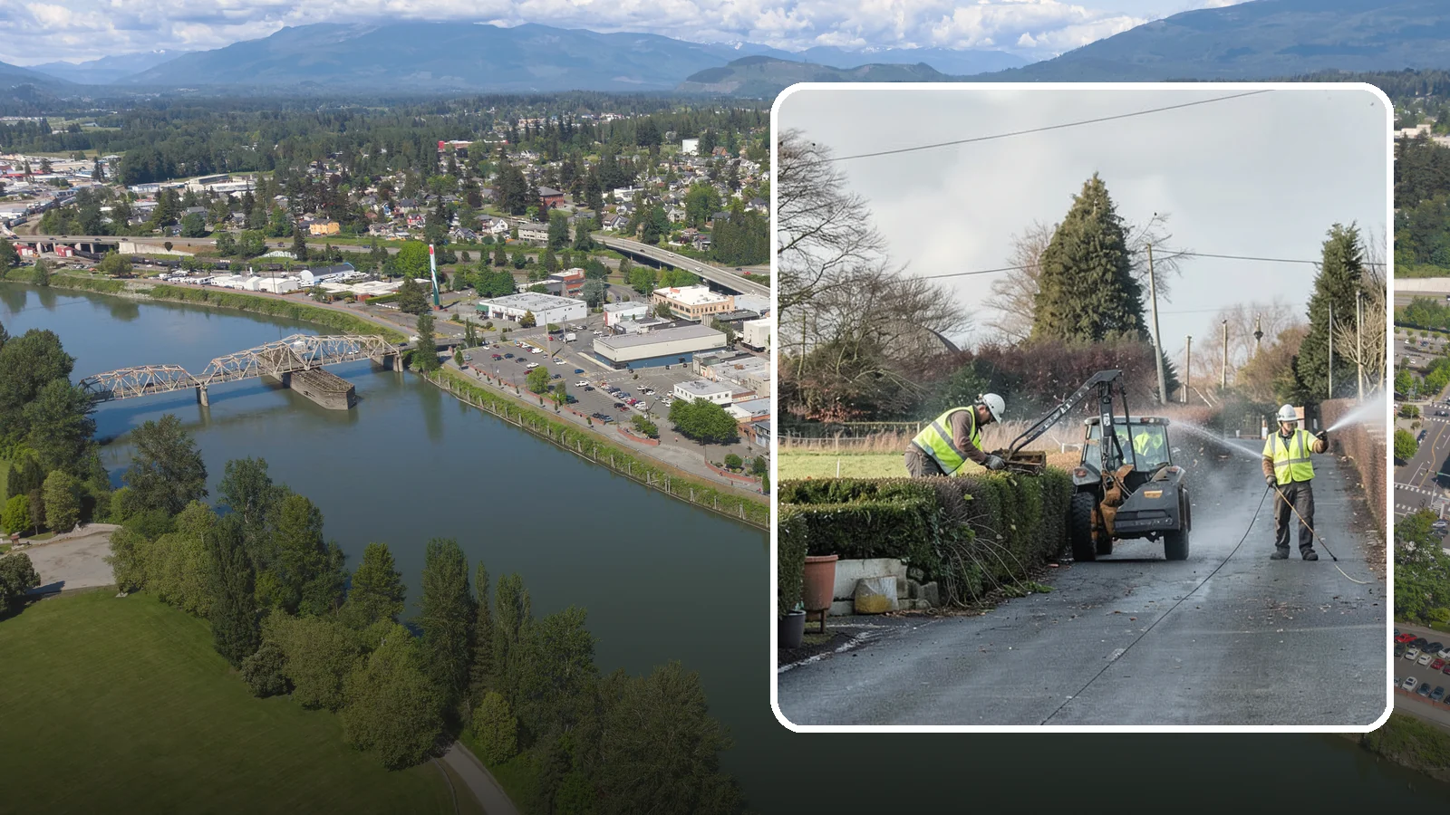 Hedge Trimming in Mount Vernon, Skagit County, WA - Precise hedge trimming that maintains clean lines, healthy density, and clear sightlines on public property.