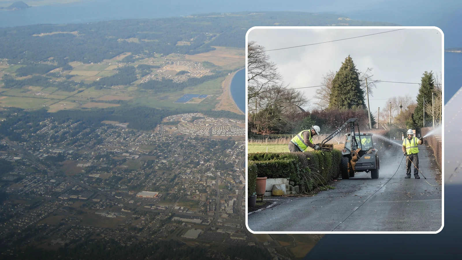 Hedge Trimming in Oak Harbor, Island County, WA - Precise hedge trimming that maintains clean lines, healthy density, and clear sightlines on public property.