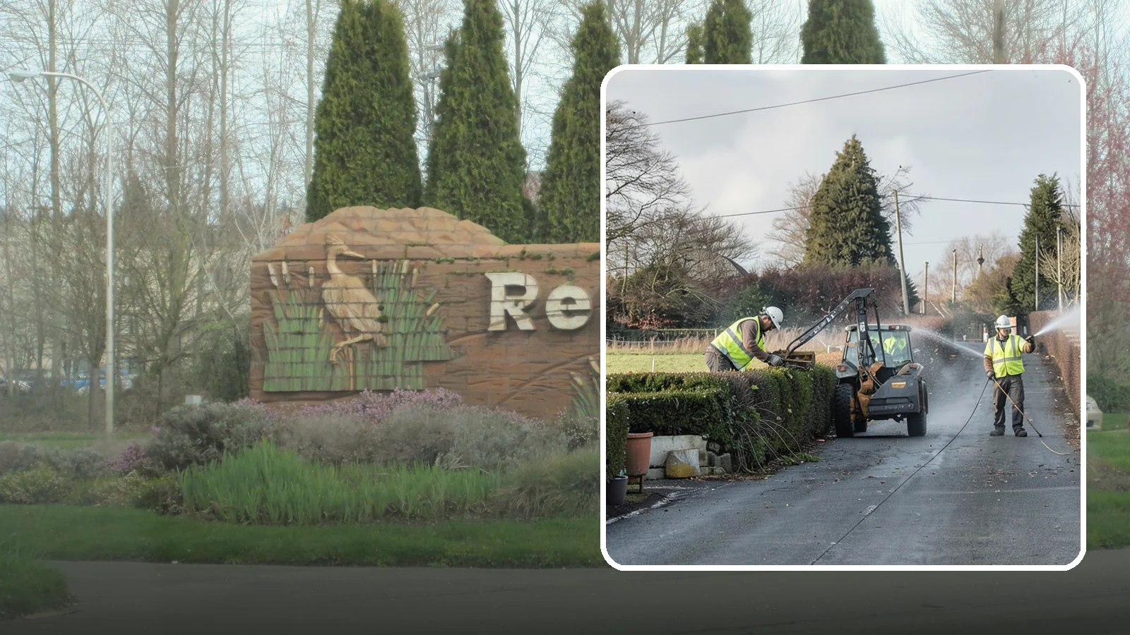 Hedge Trimming in Renton, King County, WA - Precise hedge trimming that maintains clean lines, healthy density, and clear sightlines on public property.