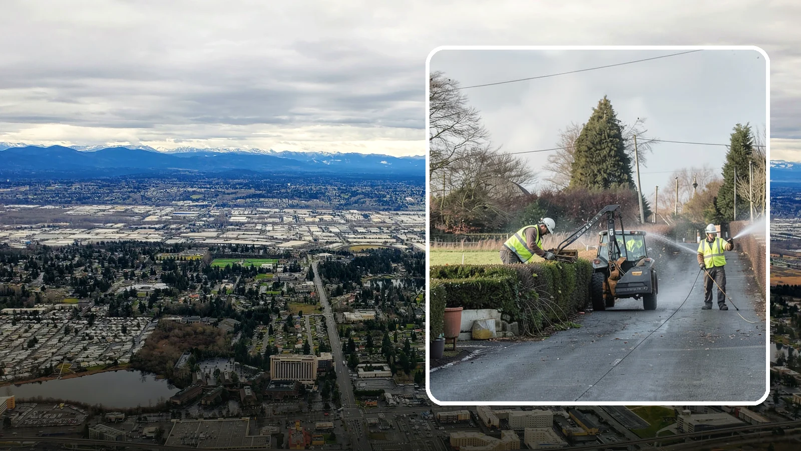 Hedge Trimming in SeaTac, King County, WA - Precise hedge trimming that maintains clean lines, healthy density, and clear sightlines on public property.