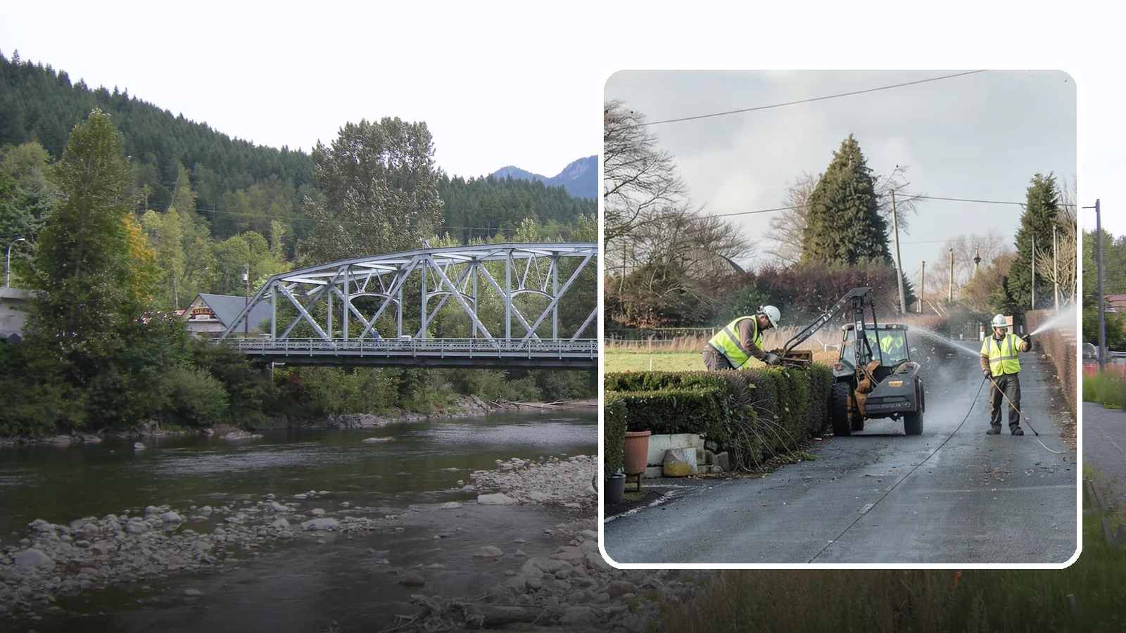 Hedge Trimming in Skykomish, King County, WA - Precise hedge trimming that maintains clean lines, healthy density, and clear sightlines on public property.