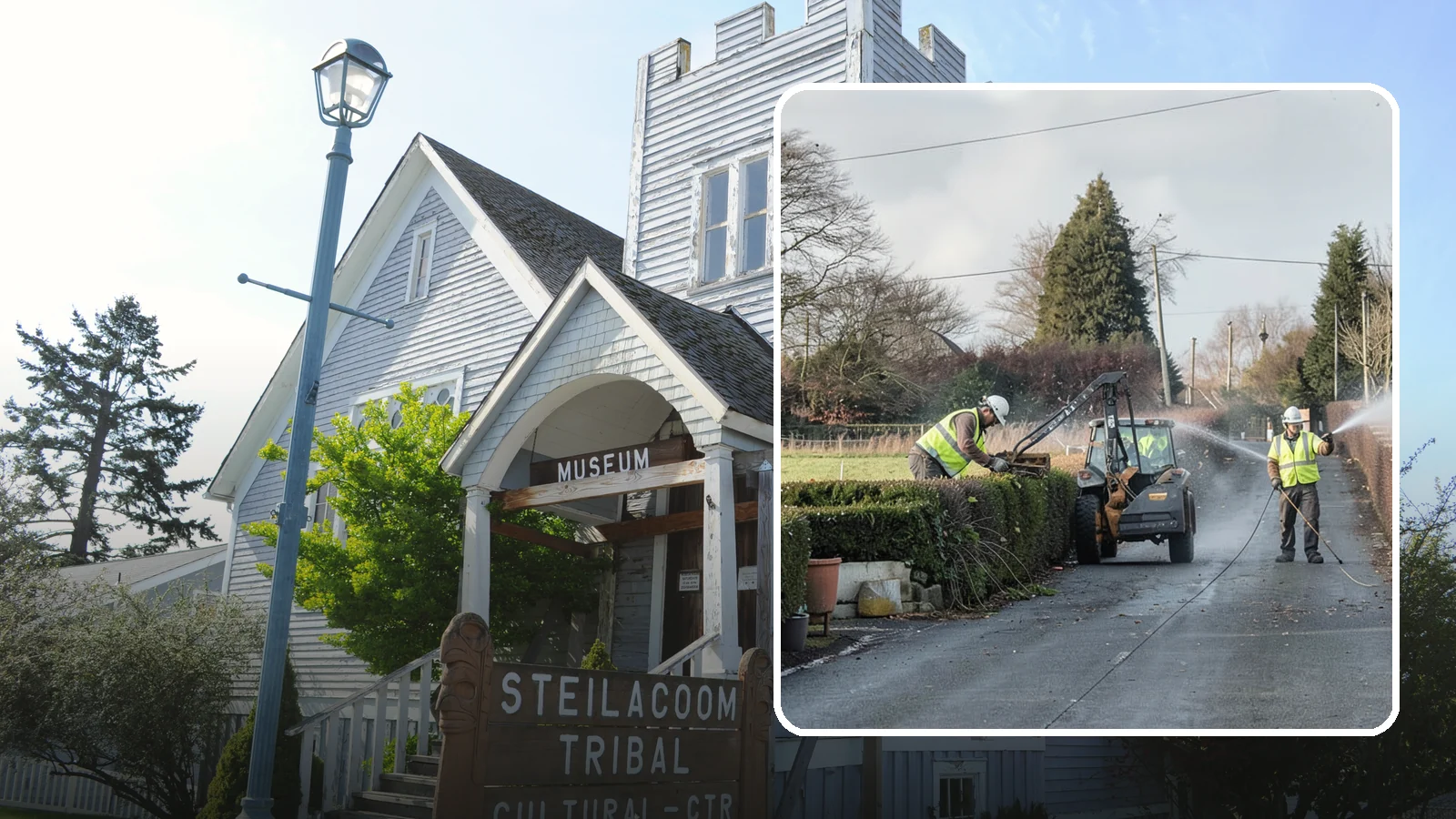 Hedge Trimming in Steilacoom, Pierce County, WA - Precise hedge trimming that maintains clean lines, healthy density, and clear sightlines on public property.
