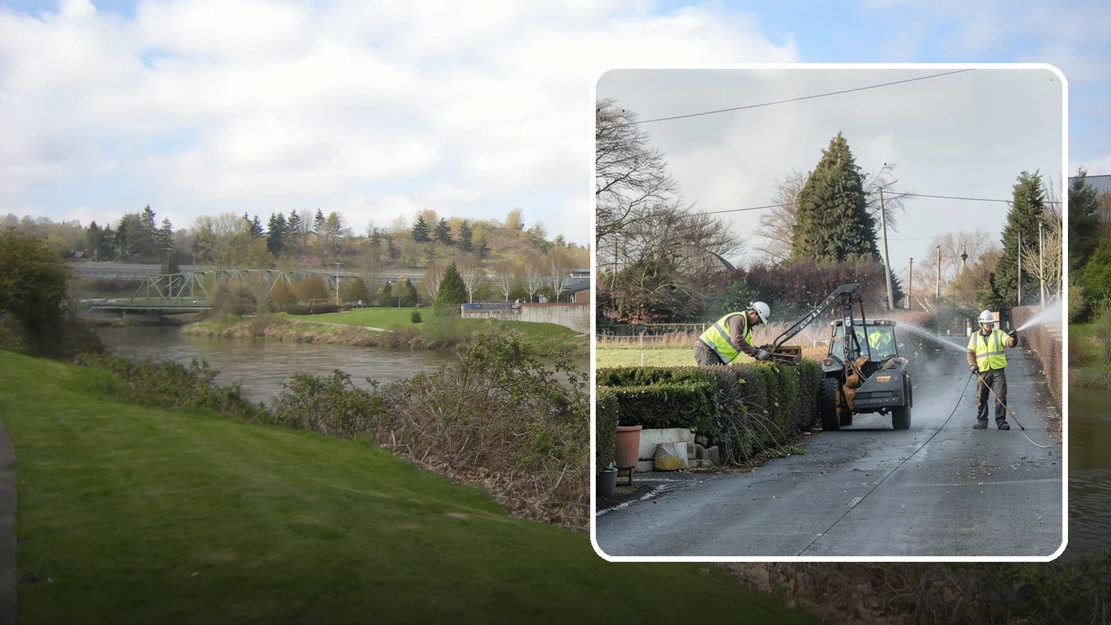 Hedge Trimming in Tukwila, King County, WA - Precise hedge trimming that maintains clean lines, healthy density, and clear sightlines on public property.