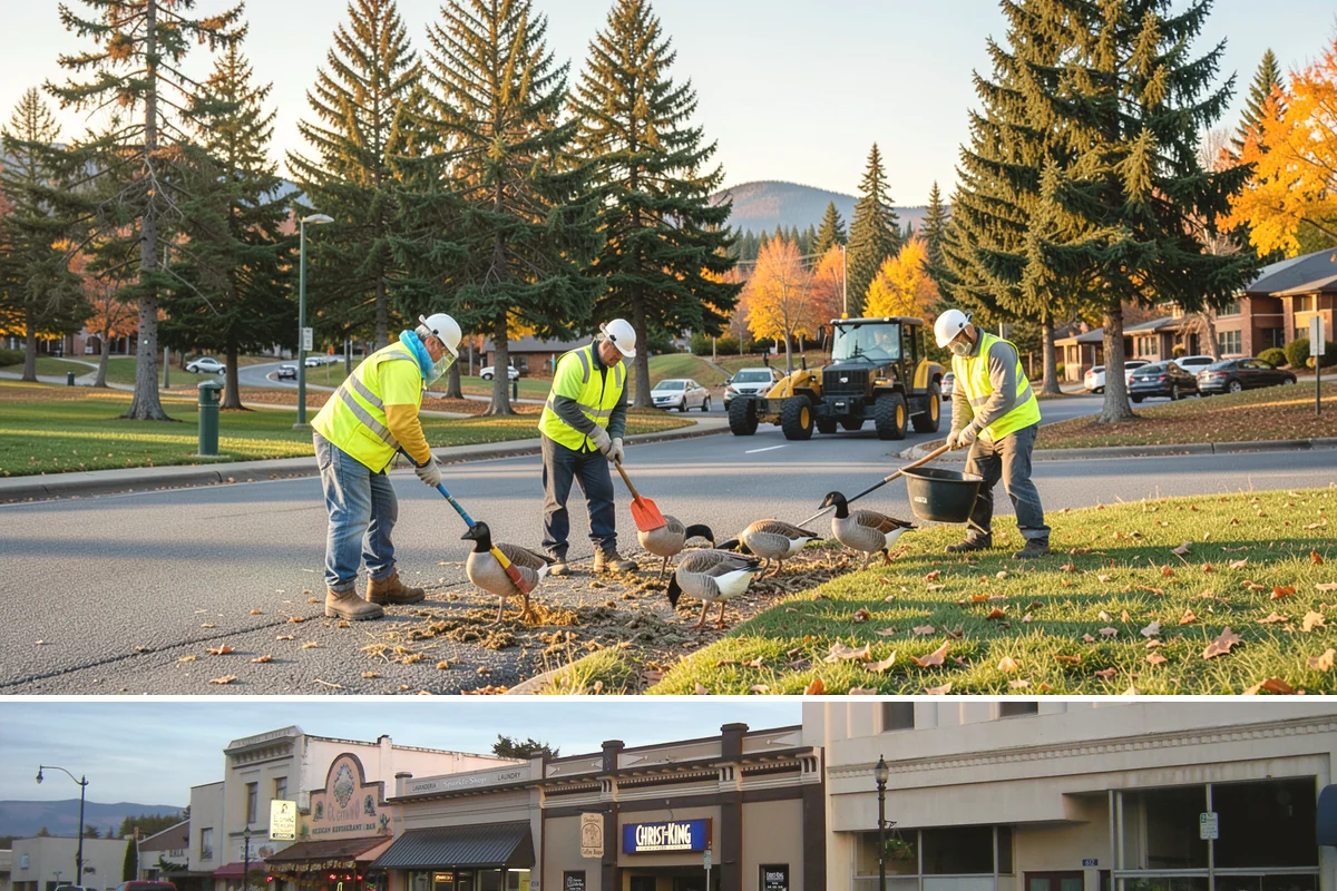 IDIQ Services in Burlington, Skagit County, WA - Delivery orders can be placed in any season, letting agencies concentrate volume where the calendar allows.