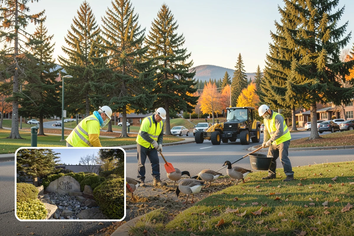 Municipal Graffiti Removal in Clyde Hill, King County, WA - Fast removal deters repeat tagging and blight