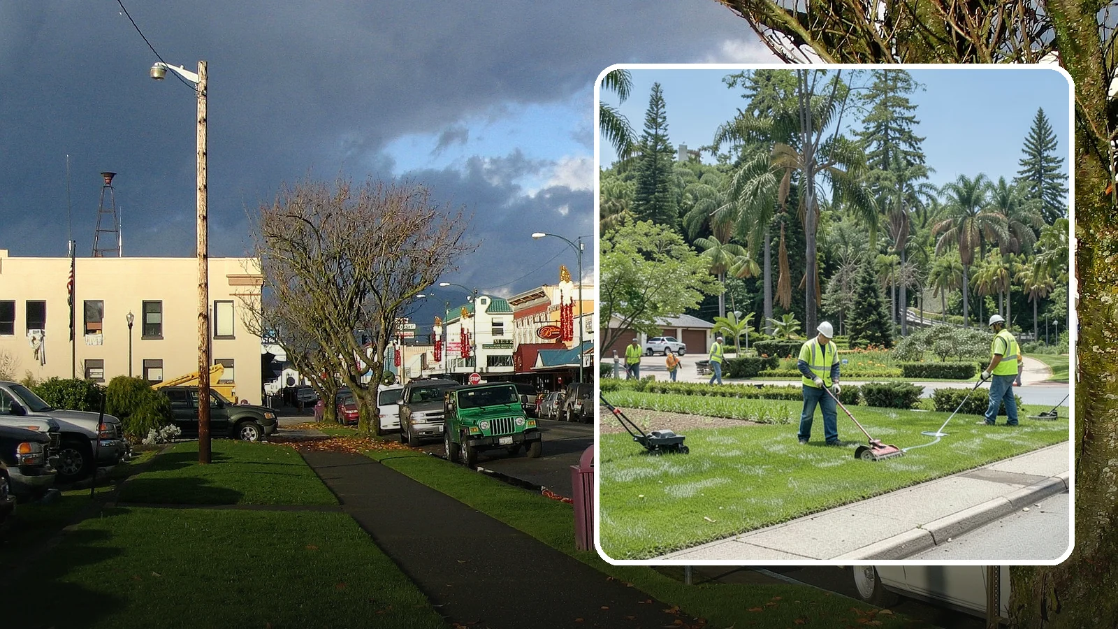 Municipal Turf Management in Arlington, Snohomish County, WA - We deliver mowing, fertilization, aeration, and weed control programs that keep public turf healthy and safe across Western...