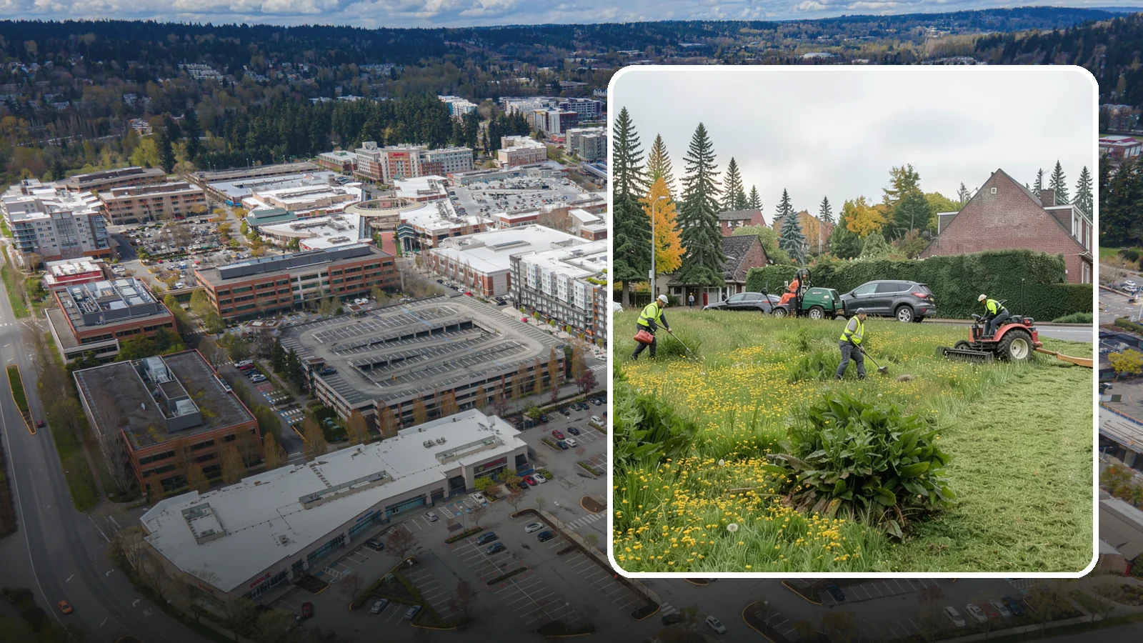Open Space Mowing in Redmond, King County, WA - Scheduled mowing of meadows, fields, and open-space parcels for access, safety, and fire fuel reduction.
