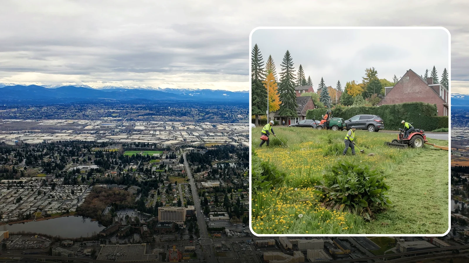 Open Space Mowing in SeaTac, King County, WA - Scheduled mowing of meadows, fields, and open-space parcels for access, safety, and fire fuel reduction.