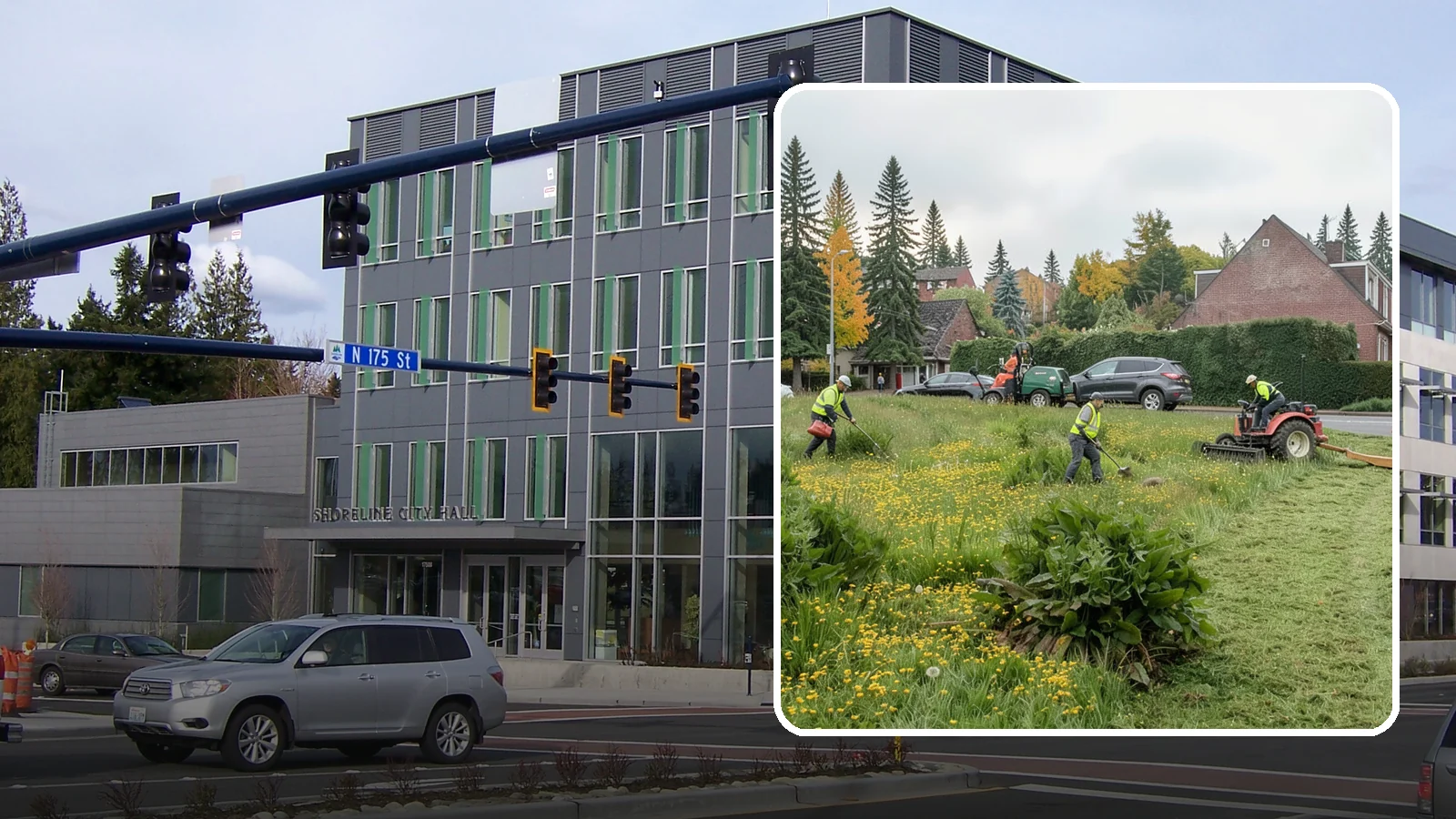 Open Space Mowing in Shoreline, King County, WA - Scheduled mowing of meadows, fields, and open-space parcels for access, safety, and fire fuel reduction.