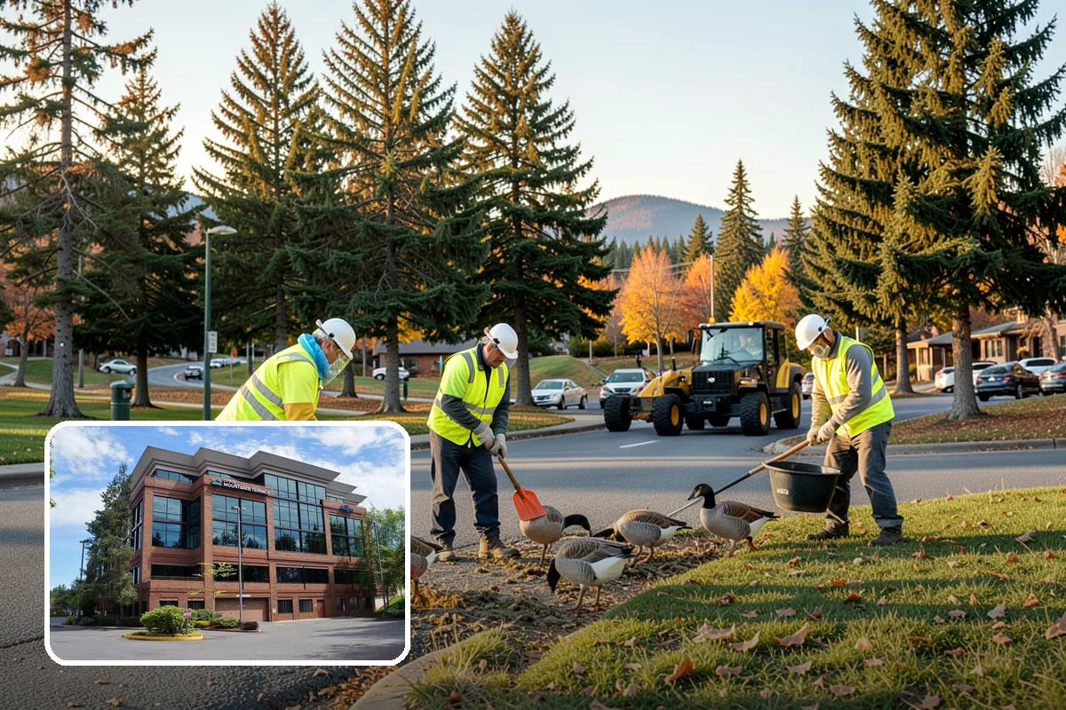 Roadside Mowing in Mountlake Terrace, Snohomish County, WA - Maintains clear sight distance at curves, driveways, and intersections