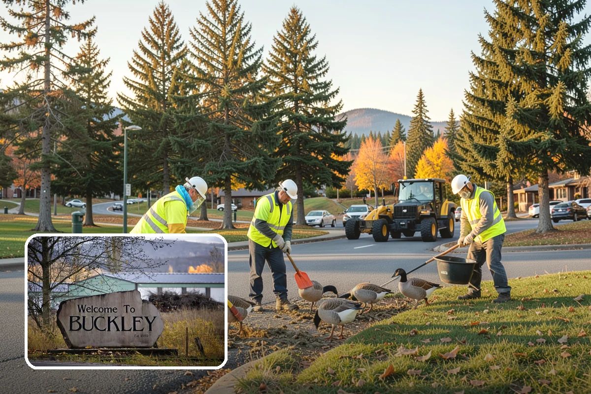 Stone Wall Repairs in Buckley, Pierce County, WA - Preserves the character of decorative and historic walls