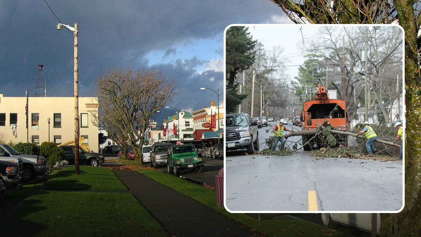 Street Tree Removal in Arlington, Snohomish County, WA - Permitted removal of dead, declining, or conflicting street trees in the public right-of-way with full traffic control and site...