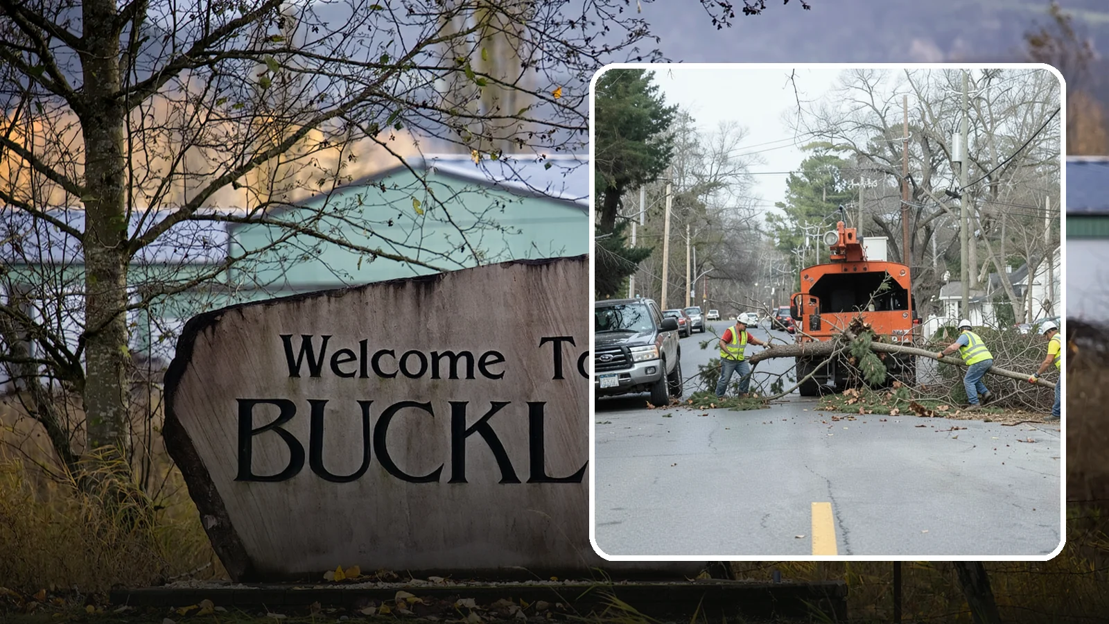Street Tree Removal in Buckley, Pierce County, WA - Permitted removal of dead, declining, or conflicting street trees in the public right-of-way with full traffic control and site...