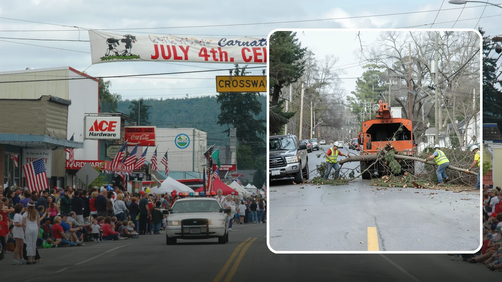 Street Tree Removal in Carnation, King County, WA - Permitted removal of dead, declining, or conflicting street trees in the public right-of-way with full traffic control and site...