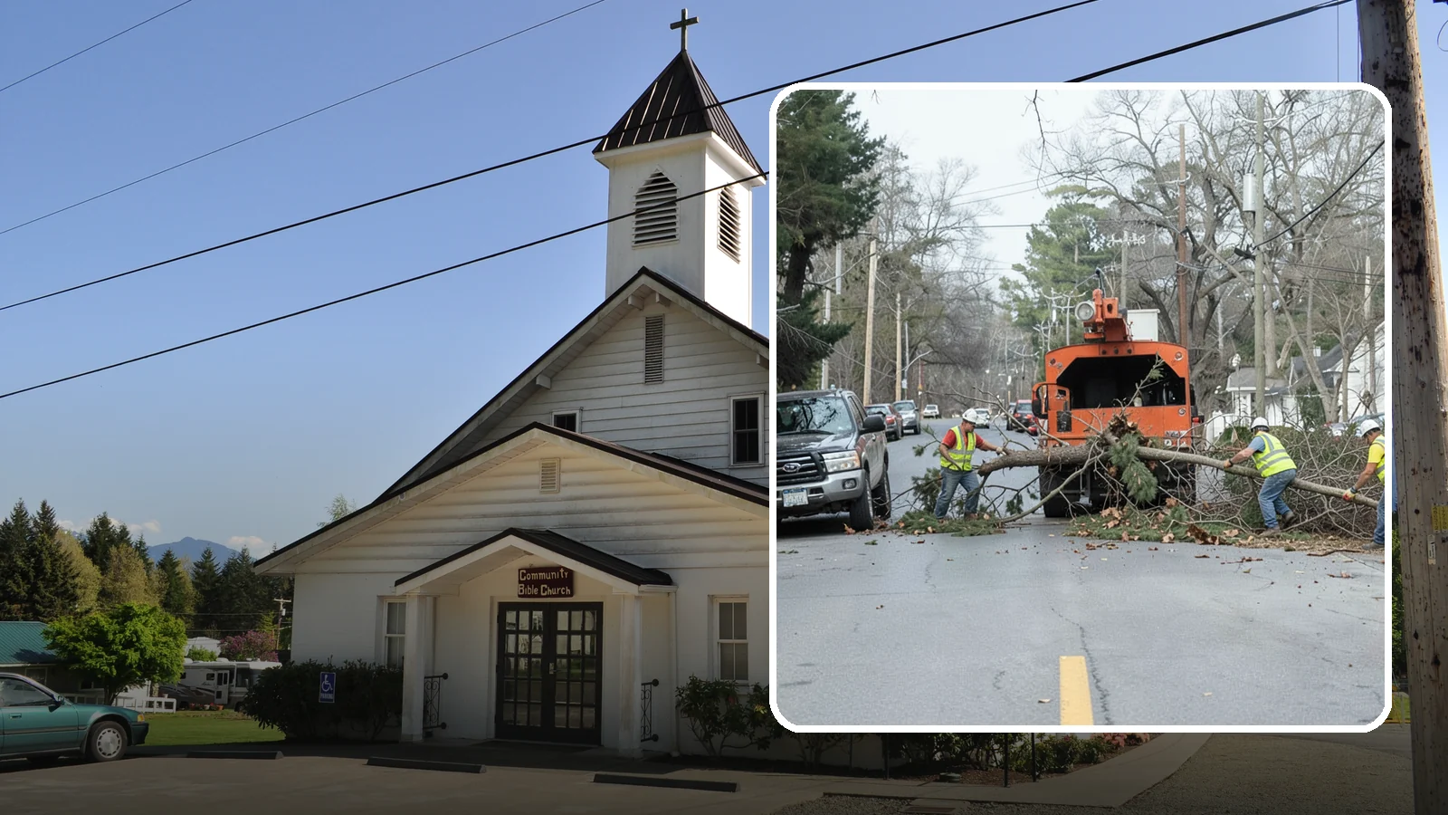 Street Tree Removal in Concrete, Skagit County, WA - Permitted removal of dead, declining, or conflicting street trees in the public right-of-way with full traffic control and site...