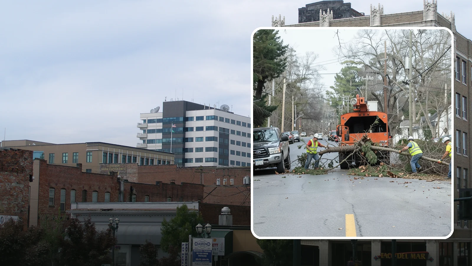 Street Tree Removal in Everett, Snohomish County, WA - Permitted removal of dead, declining, or conflicting street trees in the public right-of-way with full traffic control and site...