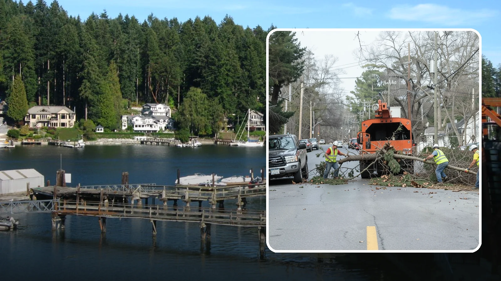 Street Tree Removal in Gig Harbor, Pierce County, WA - Permitted removal of dead, declining, or conflicting street trees in the public right-of-way with full traffic control and site...
