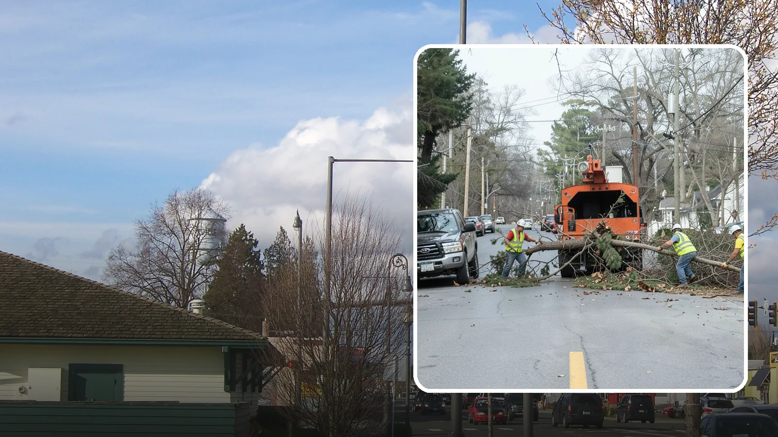 Street Tree Removal in Marysville, Snohomish County, WA - Permitted removal of dead, declining, or conflicting street trees in the public right-of-way with full traffic control and site...