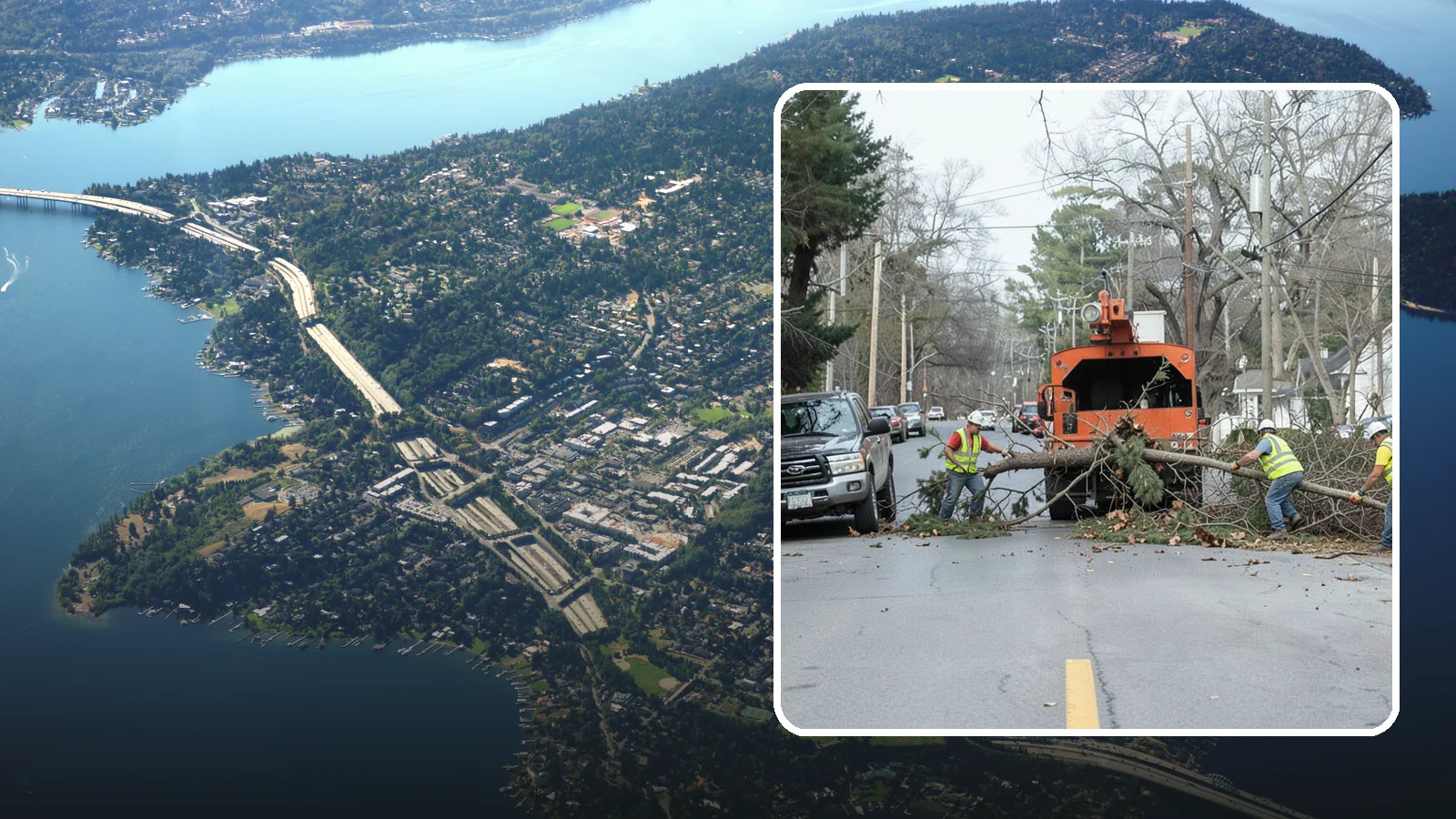 Street Tree Removal in Mercer Island, King County, WA - Permitted removal of dead, declining, or conflicting street trees in the public right-of-way with full traffic control and site...
