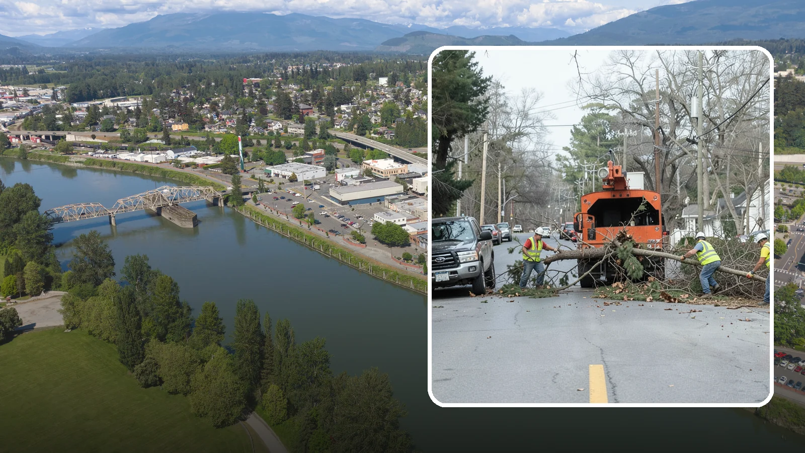 Street Tree Removal in Mount Vernon, Skagit County, WA - Permitted removal of dead, declining, or conflicting street trees in the public right-of-way with full traffic control and site...