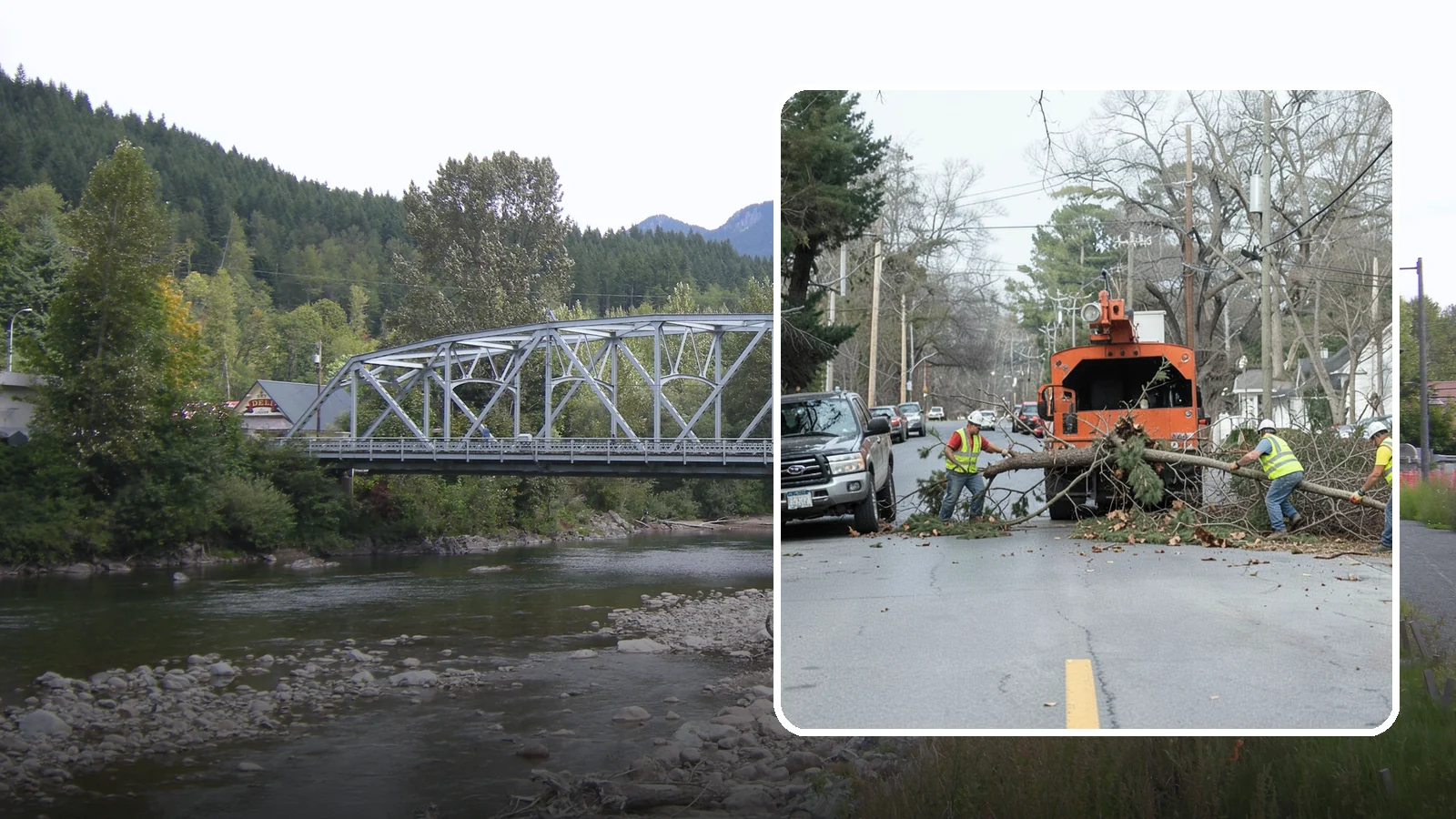 Street Tree Removal in Skykomish, King County, WA - Permitted removal of dead, declining, or conflicting street trees in the public right-of-way with full traffic control and site...