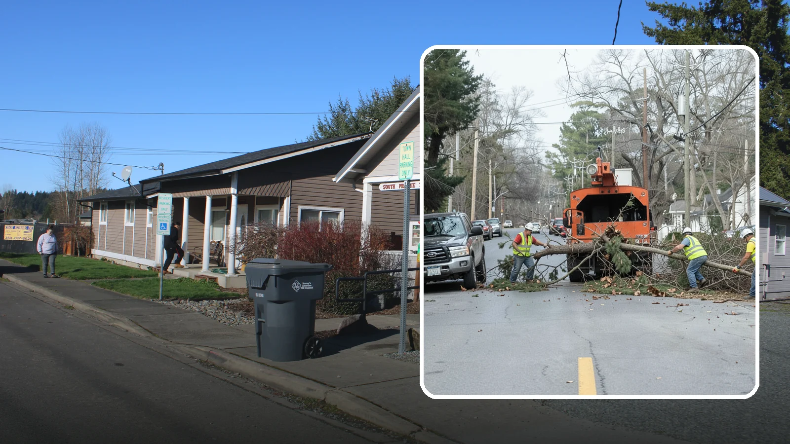 Street Tree Removal in South Prairie, Pierce County, WA - Permitted removal of dead, declining, or conflicting street trees in the public right-of-way with full traffic control and site...