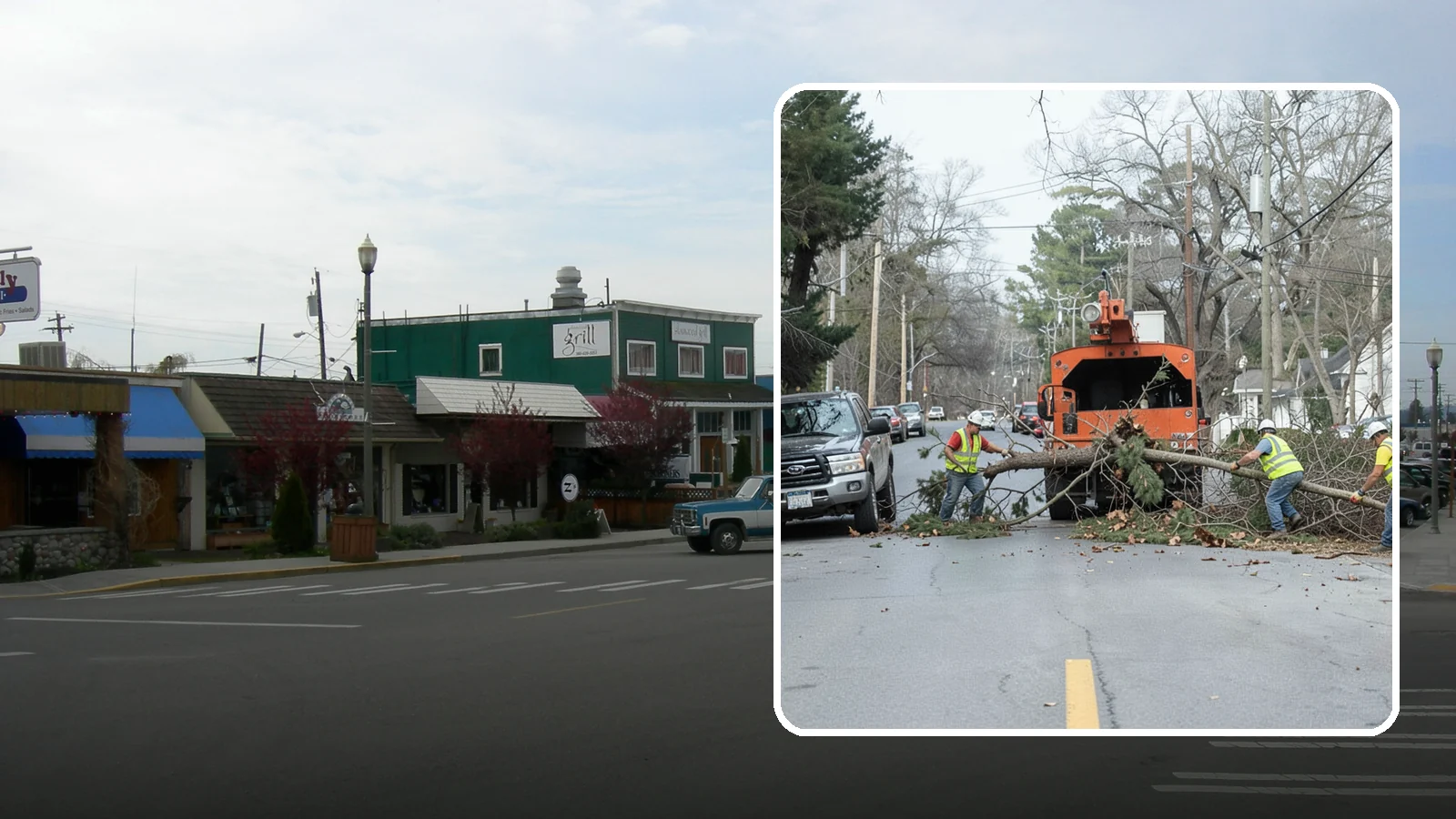 Street Tree Removal in Stanwood, Snohomish County, WA - Permitted removal of dead, declining, or conflicting street trees in the public right-of-way with full traffic control and site...