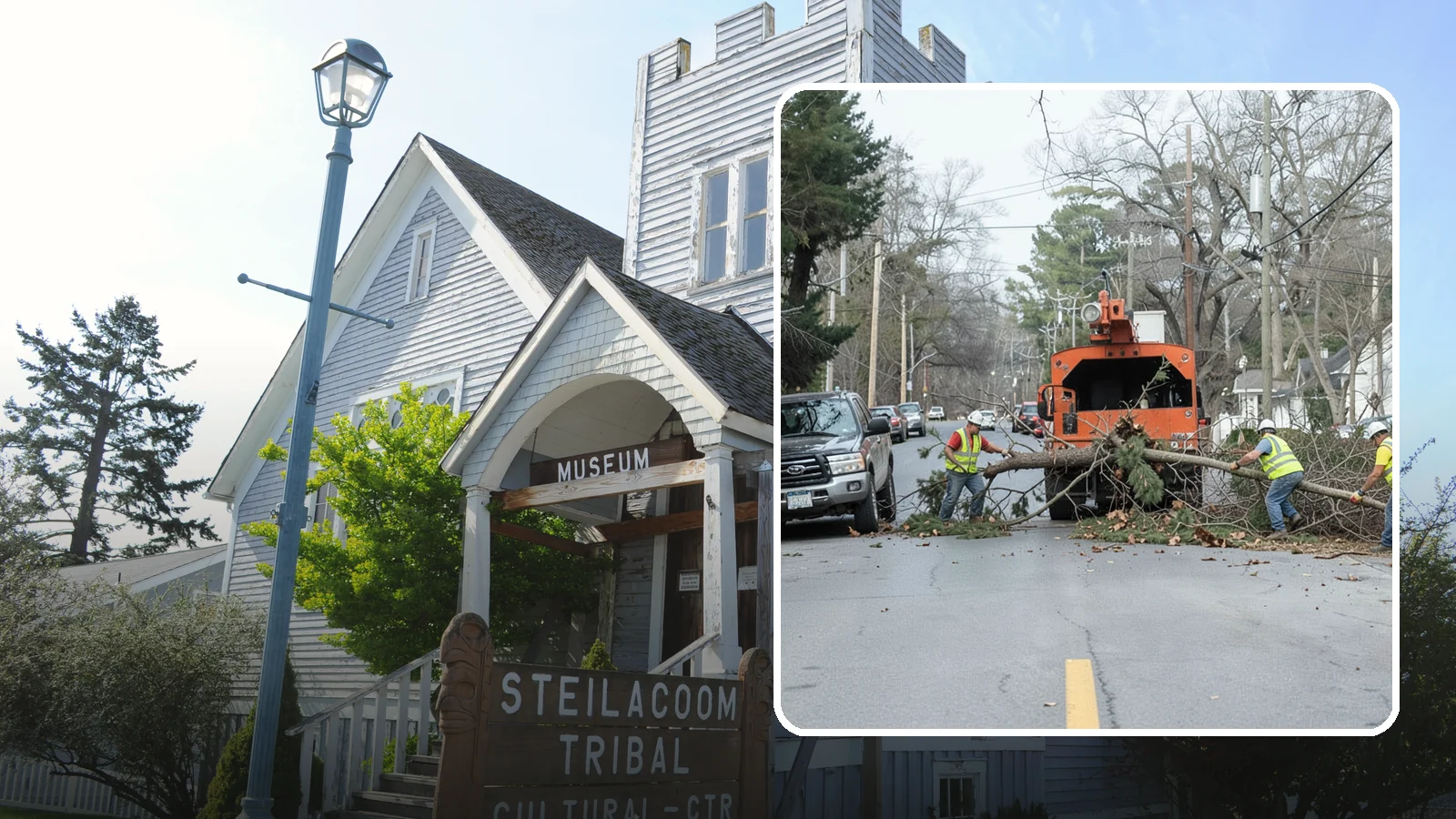 Street Tree Removal in Steilacoom, Pierce County, WA - Permitted removal of dead, declining, or conflicting street trees in the public right-of-way with full traffic control and site...