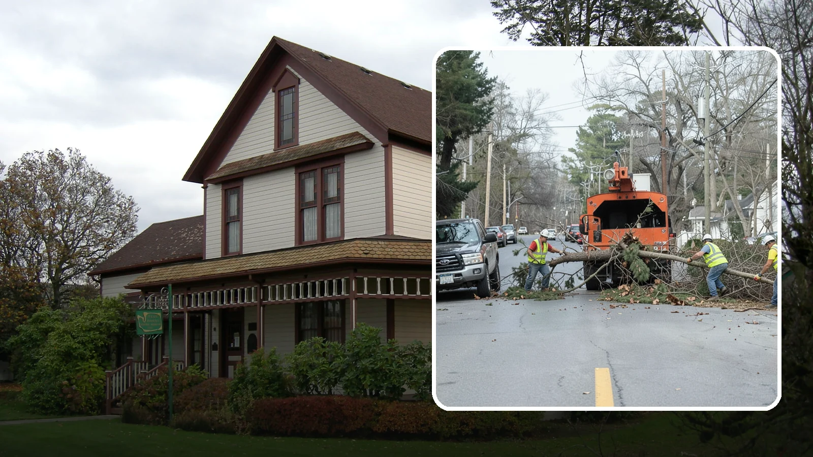 Street Tree Removal in Sumner, Pierce County, WA - Permitted removal of dead, declining, or conflicting street trees in the public right-of-way with full traffic control and site...