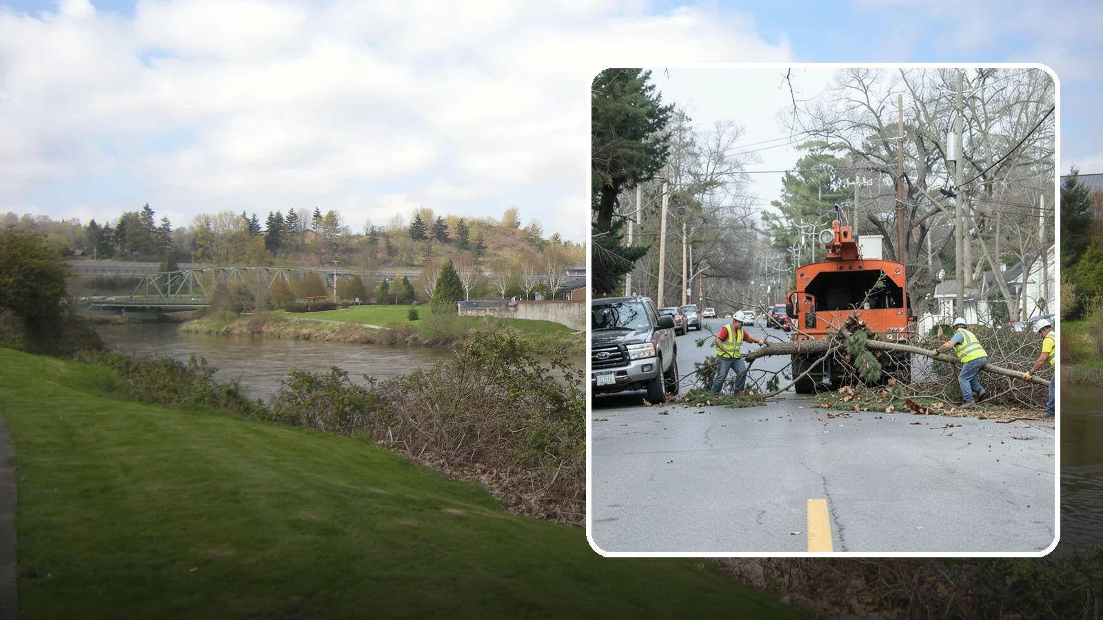 Street Tree Removal in Tukwila, King County, WA - Permitted removal of dead, declining, or conflicting street trees in the public right-of-way with full traffic control and site...