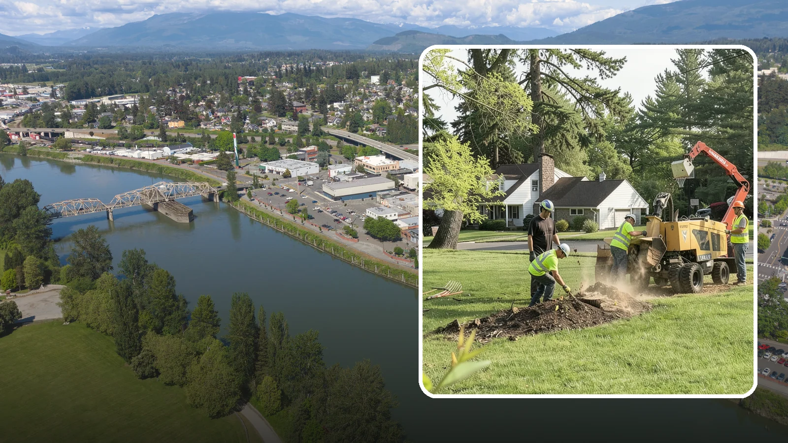 Stump Grinding in Mount Vernon, Skagit County, WA - Grinding of public tree stumps below grade to eliminate trip hazards and ready planting strips, wells, and turf for restoration.