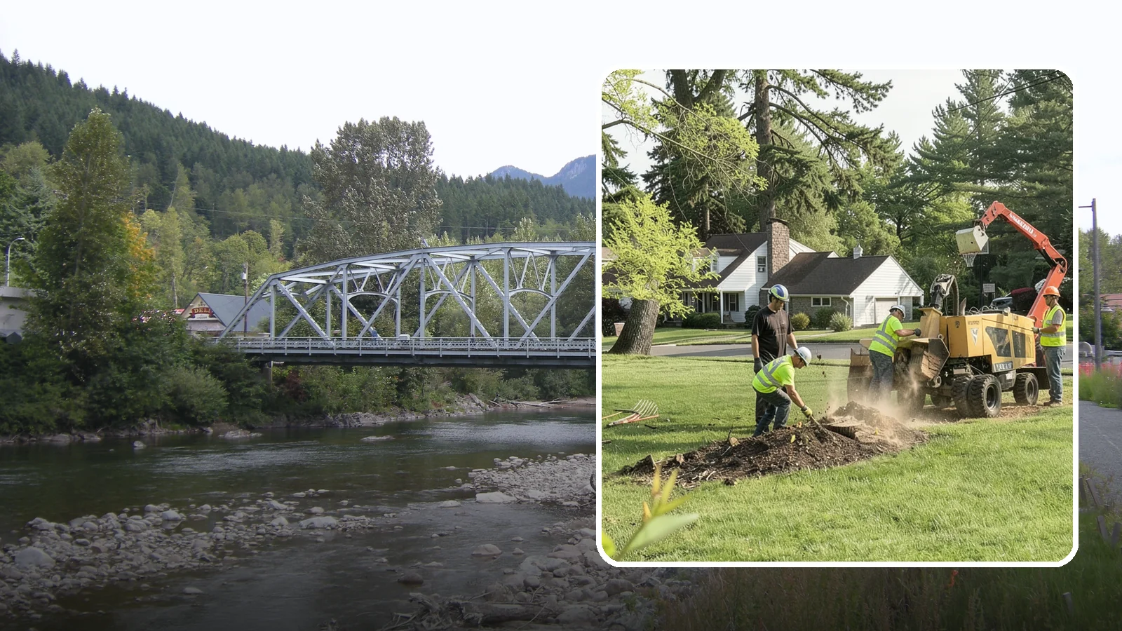Stump Grinding in Skykomish, King County, WA - Grinding of public tree stumps below grade to eliminate trip hazards and ready planting strips, wells, and turf for restoration.