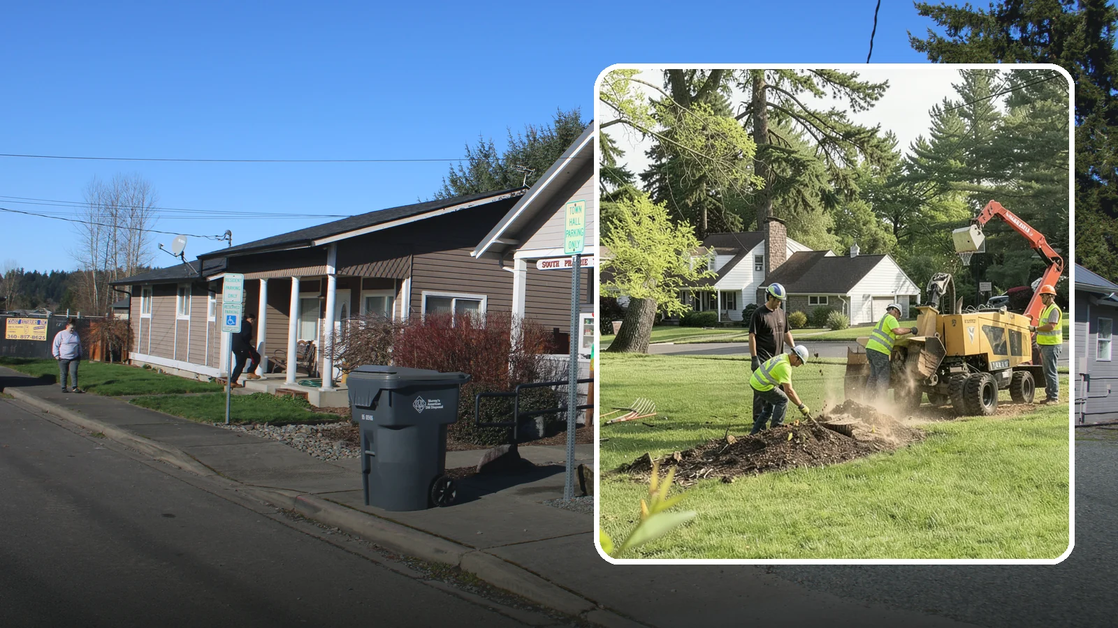 Stump Grinding in South Prairie, Pierce County, WA - Grinding of public tree stumps below grade to eliminate trip hazards and ready planting strips, wells, and turf for restoration.