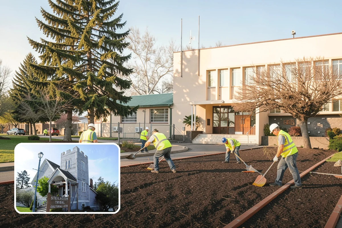 Tree Planting in Steilacoom, Pierce County, WA - Builds long-term canopy with correct species siting