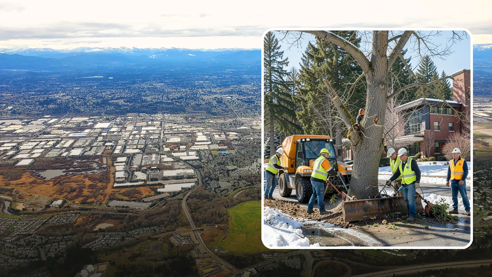 Urban Forestry Services in Kent, King County, WA - We provide comprehensive urban forestry support, from management plans and cycle pruning to canopy goals, for Western Washington...