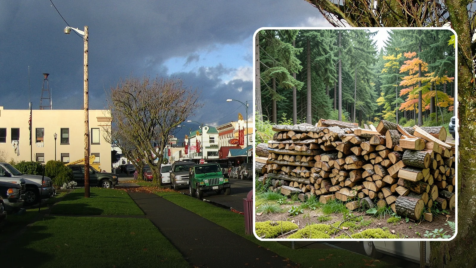 Air-Dried Firewood in Arlington, Snohomish County, WA - Wood that has cured naturally outdoors through open-air seasoning for reliable burning.