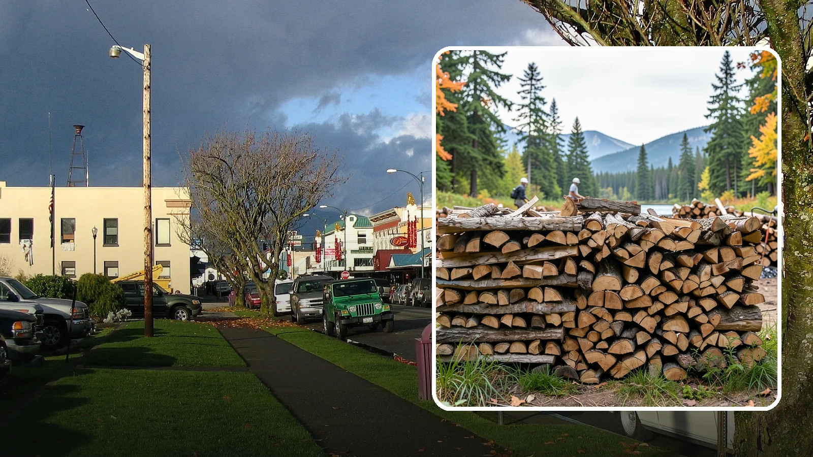 Beach Firewood in Arlington, Snohomish County, WA - Bundled, ready-to-burn firewood for beach fires and coastal gatherings.