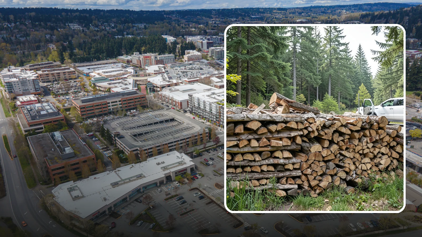 Bulk Firewood in Redmond, King County, WA - We supply firewood in large bulk quantities at volume pricing for households and properties that burn a lot through the long PNW...