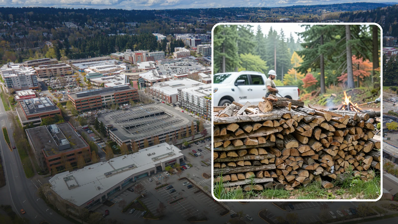Campfire Wood in Redmond, King County, WA - Firewood cut and split for easy-lighting, sociable campfires at sites across the region.